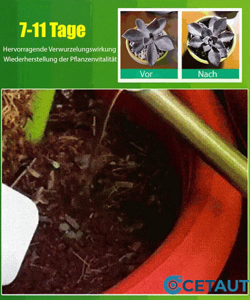 🪴Koop 3 voor 5 (8 flessen）🌼🌱 Plantengroeibevorderaar – Snelle wortels, weelderige bloemen en gezonde groenten in 7 dagen!✨