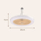 🦟🚫 50% KORTING! Stop met woelen door gezoem in je oor! Deze stille ventilatorlamp koelt, verlicht, geurt én verjaagt muggen – allemaal met één afstandsbediening vanuit bed. Eindelijk slapen als een roos, zonder jeuk!