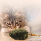 Pluche muis met geluidseffect voor katten