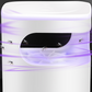 🦟 UV insectenlamp met transparante opvangbak – Handig voor een insectvrije omgeving in huis ✨