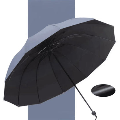 2025 Hot Sale☔12-Rib grote opvouwbare winddichte paraplu