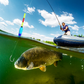 🎣Speciale drijverloze springmontageset voor het vangen van grote waterdieren