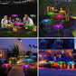 🔥 54% KORTING ! ✨ Zonne-energie Kwal Lamp - Optische Vezels, Kleurverloop Effect, Waterdicht Ontwerp ❄️✨