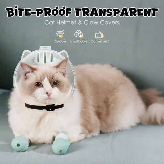 Transparante kattenhelm en pootbeschermers tegen bijten