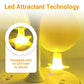 Kleverige Fruitvliegval Bal met Standaard & LED