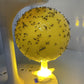 Kleverige Fruitvliegval Bal met Standaard & LED