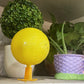 Kleverige Fruitvliegval Bal met Standaard & LED