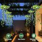 💎 OP ZONNE-ENERGIE WERKENDE HANGENDE MILAN GRAS LAMP! 💎 Levensechte bladeren, automatische aan/uit-functie en IP65 waterdicht ✨
