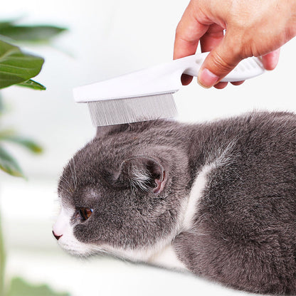 Vlooienkam voor huisdieren 🐶🐱