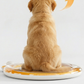 Non-Slip Cooling Splash Pet Mat