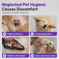 🐾 Pet Finger Cleaning Wipes – Vingerdoekjes voor Gerichte Dagelijkse Verzorging van Hond & Kat